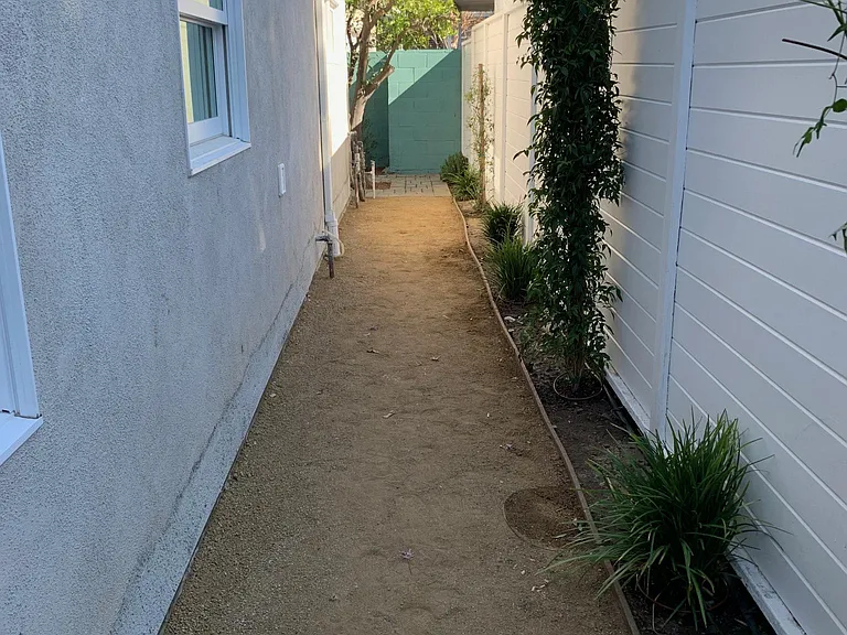 Side yard with plantings.