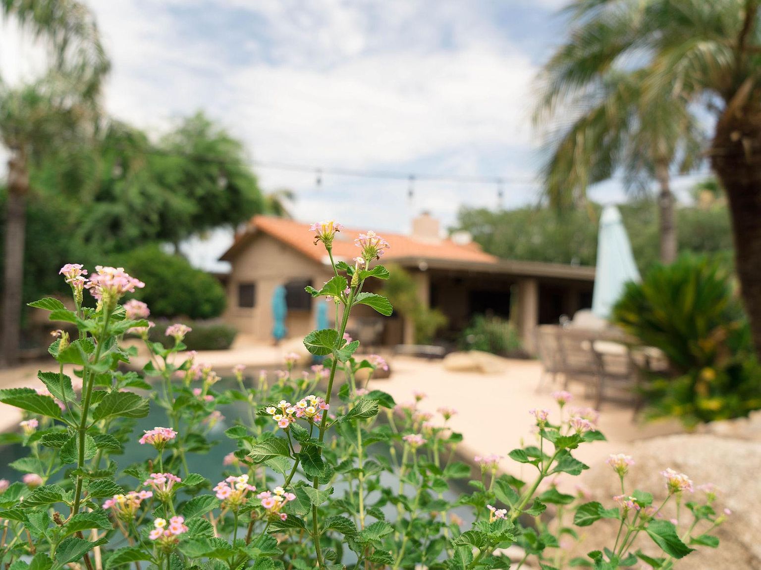 Scottsdale, AZ 85254