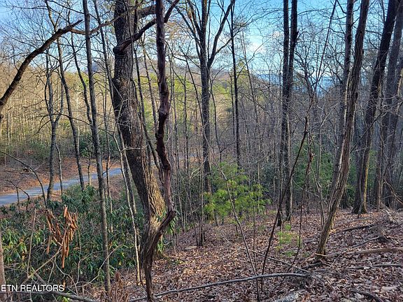3rd image of 5 Swann Saddle Rd Lot 5