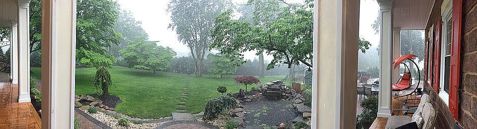 Back yard in rain