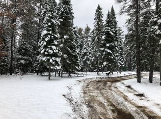 2419 Bearup Road 10+/- Acres, Lewiston, MI 49756