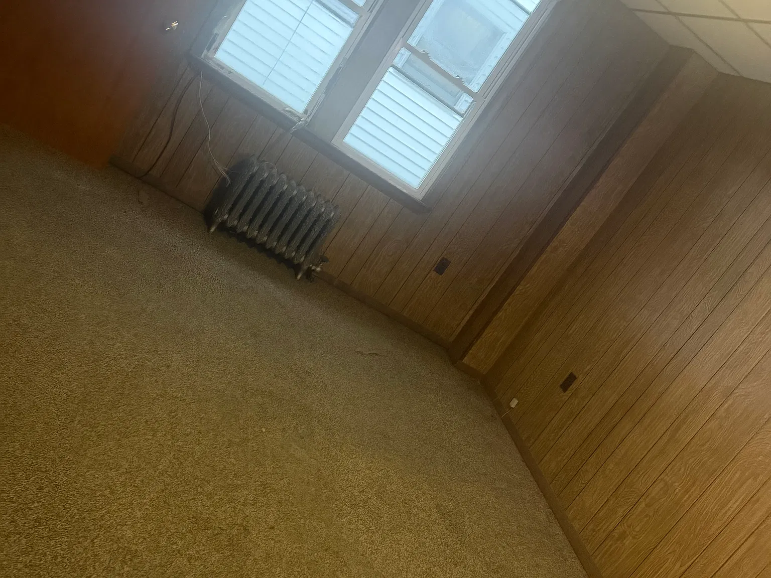 1 bed, 700 sqft, $950 — Photo 2