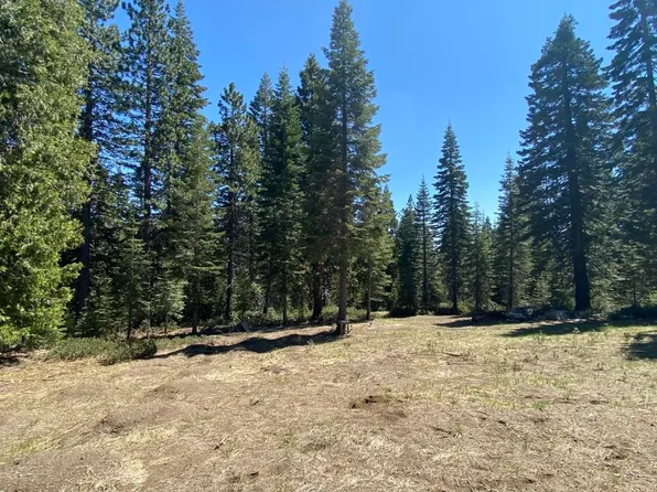 3-G-21 Elk Springs Dr, McCloud, CA 96057