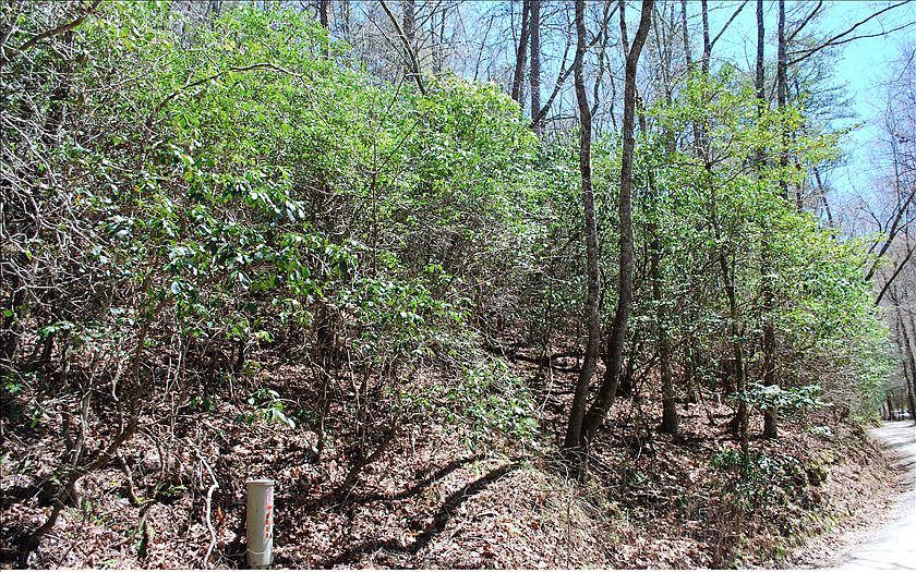 2nd image of 267 River Cove Ln
