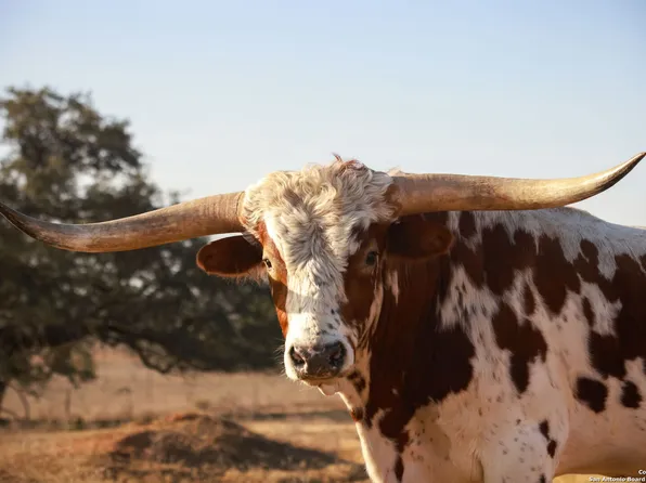 1480 Patton Rd, Somerset, TX 78069