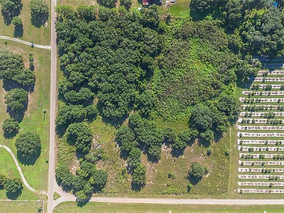4th image of Yale Hammock Rd Lot 600