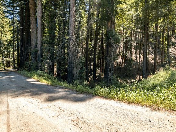 4th image of 17 Branson Ranch Rd