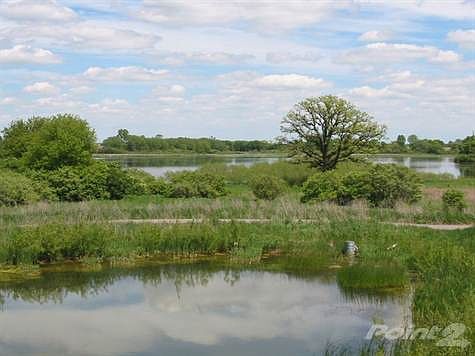 Beautiful Views of Trippe Lake from within the Development