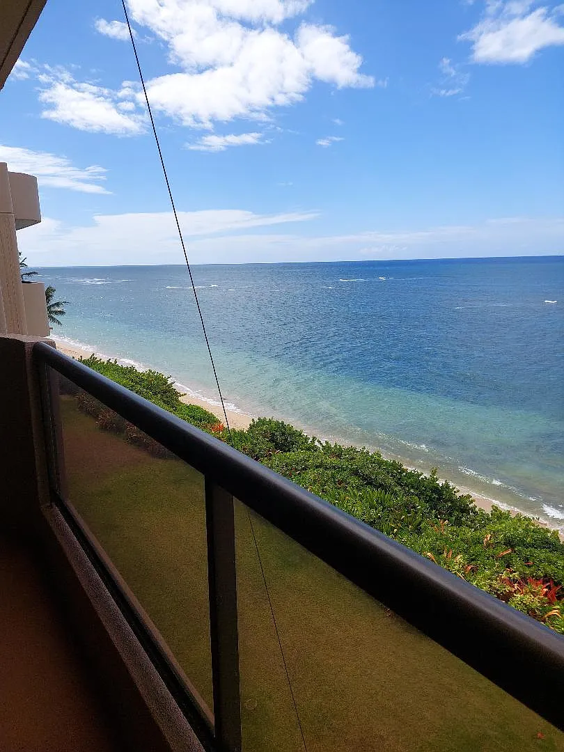 1 bed, 893 sqft, $3,500 — Photo 1