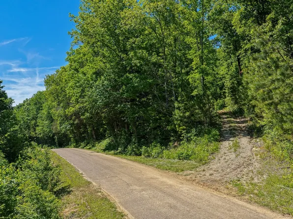 0 Mayberry Prong Rd Lot 1, Linden, TN 37096
