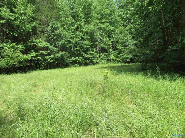 200 County Road 119, Woodville, AL 35776