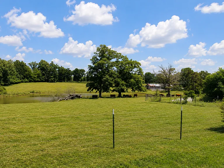 786 Virgil Smith Rd — Photo 22