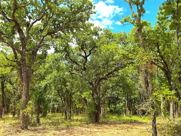 C Turpin Lake Rd, Poolville, TX 76487