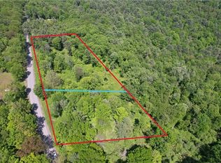 0 Cemetery Hill Road, Oneonta, NY 13820