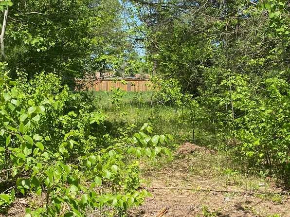 10 E Jonathan Ct N, Clearview, ON L0M 1S0