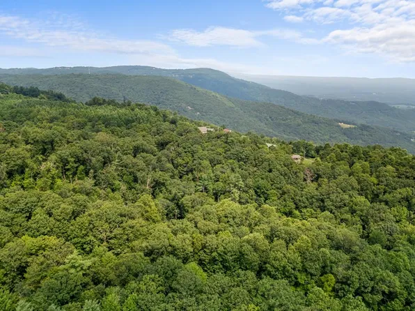 Laurel Dr, Fancy Gap, VA 24328