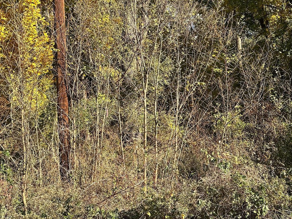 2nd image of LOT 75 Rothwell Ave
