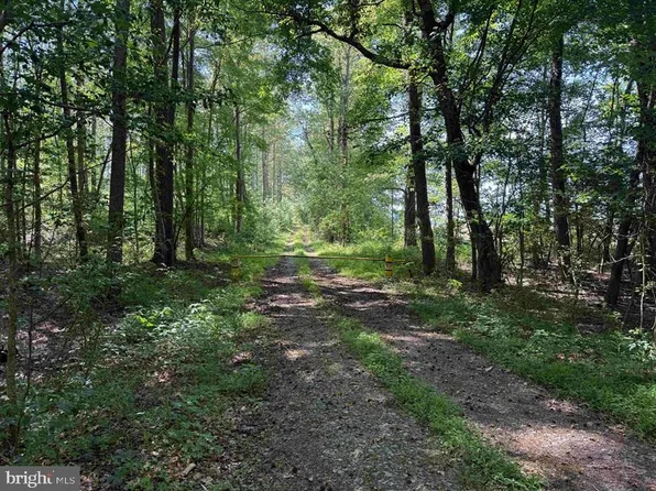 Dodlyt Rd Tract Bk2932, Heathsville, VA 22473