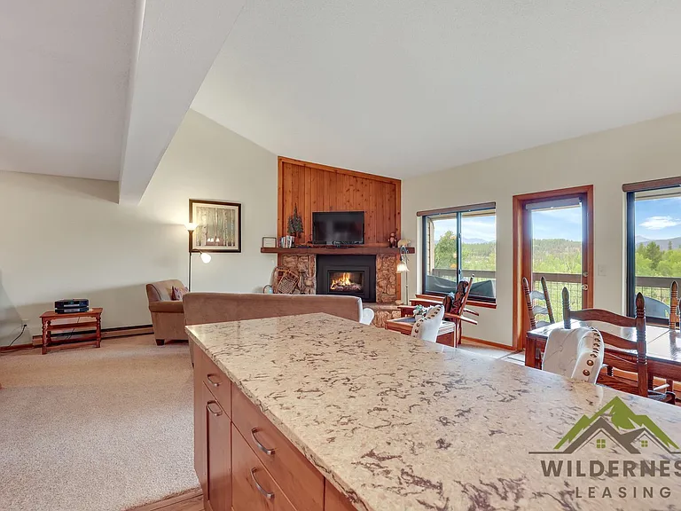 4811 Ryan Gulch Rd #4832 — Photo 3