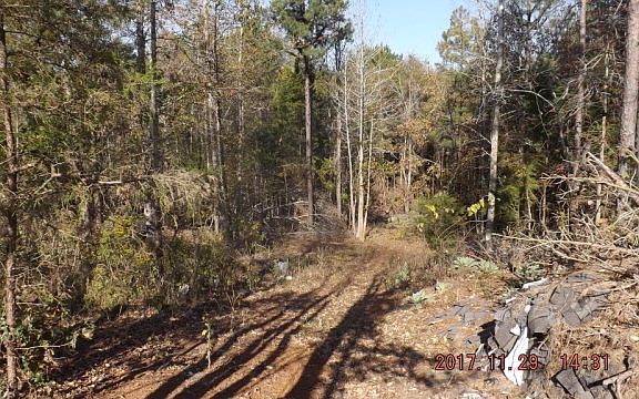 3rd image of 240 An County Road 1261
