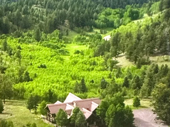 1200 County Road 600, Guffey, CO 80820