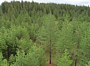 5 Elo Rd, McCall, ID 83638