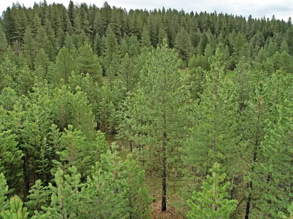 5 Elo Rd, McCall, ID 83638