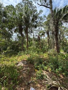 TBD Oak Hammock Lane, Fort Pierce, FL, 34981