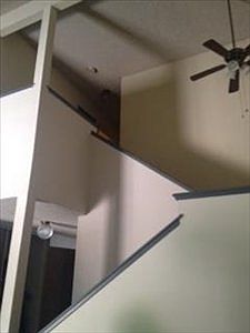 5th image of 5392 Sunflower Ct