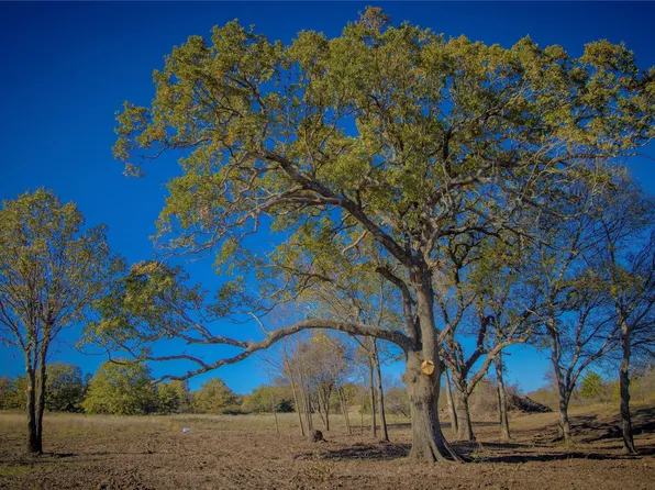 TRACT 4 Lazy East Rd, Saint Jo, TX 76265