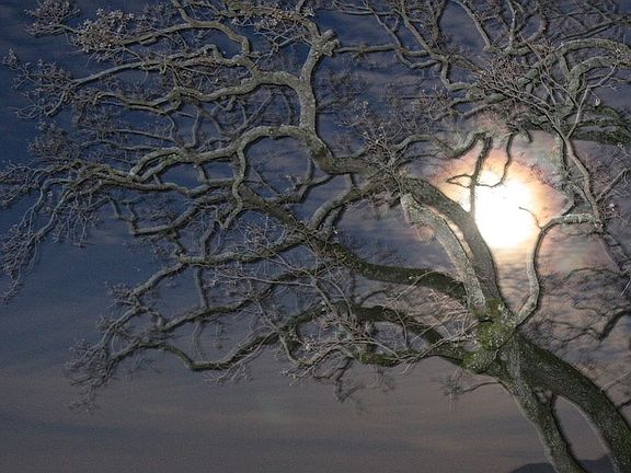 Winter Full Moon 