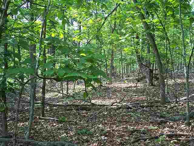 1st image of LOT 79 Champion Hills Rd