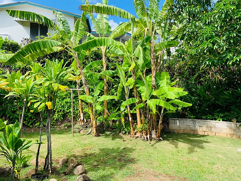 340 Lanipo Dr — Photo 29