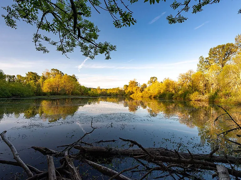 Minto Brown Island Park.
