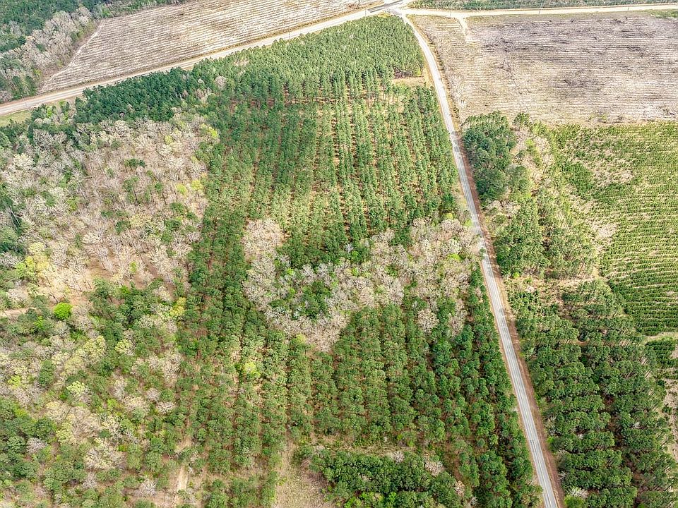 Dji 20260330135721 0384 D