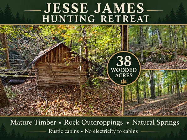 Tbd Us Hwy 65, Walnut Shade, MO 65771