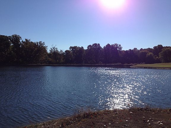 Beautiful stocked pond