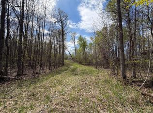 51265 Vagabond Loop, Bemidji, MN 56601