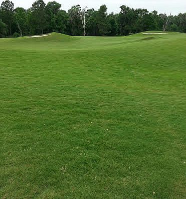 2nd image of Hickory Oak Drive
