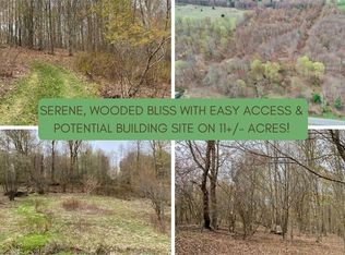 LOT 8 W Platner Brook Rd LOT 8, Delhi, NY 13753