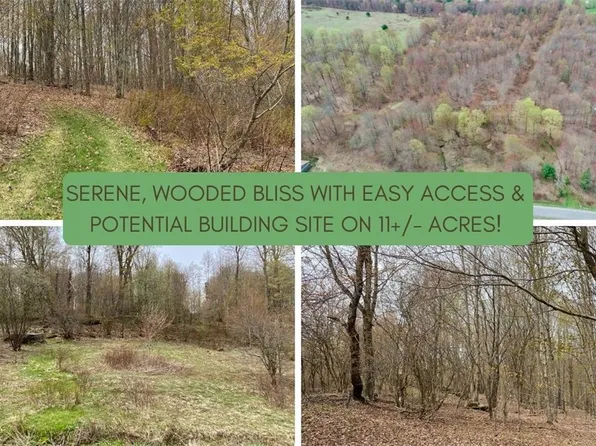 LOT 8 W Platner Brook Rd Lot 8, Delhi, NY 13753