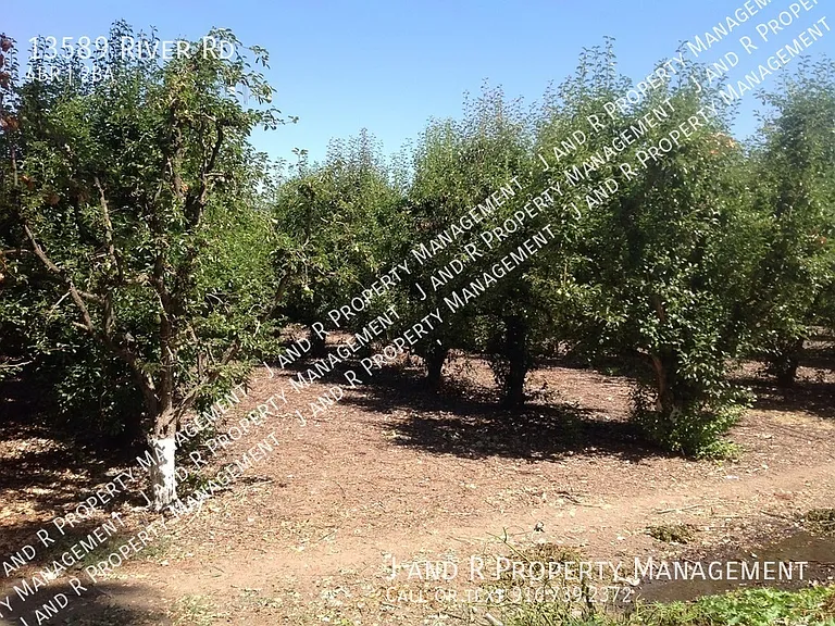 13589 River Rd — Photo 4
