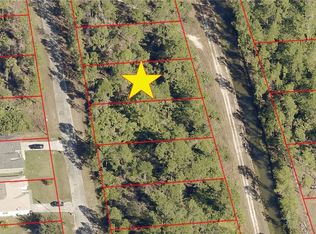 2118 Jackson Ave, Alva, FL 33920