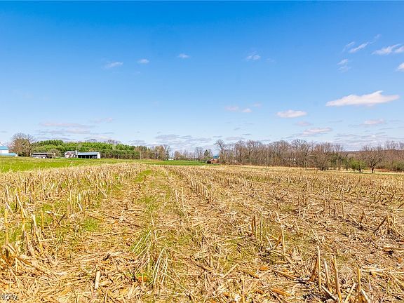 3rd image of 9050 Freeman Rd #2