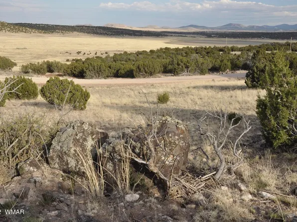 28 County Road 8627, Concho, AZ 85924