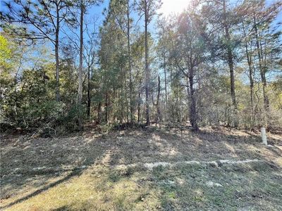 2022 W Delmane Dr, Dunnellon, FL, 34434