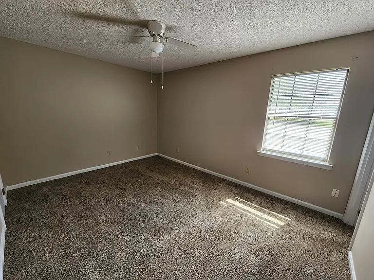 219 Petunia Dr — Photo 8