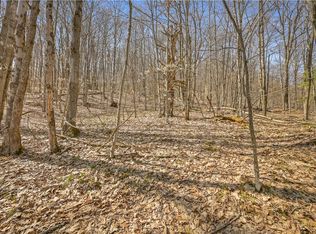 L9114 Lutheranville Rd, East Worcester, NY 12064