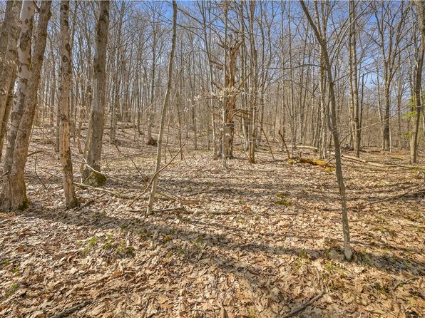 L9114 Lutheranville Rd, East Worcester, NY 12064