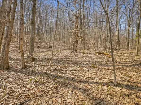 L9114 Lutheranville Rd, East Worcester, NY 12064